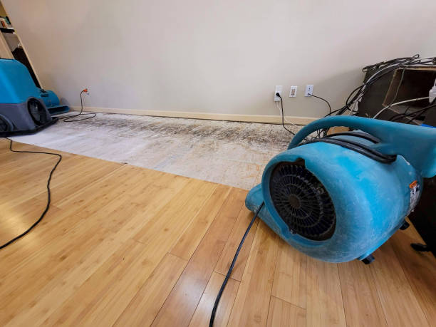 Reliable Basement Flood Cleanup contractor in Platteville, WI by Hirex Water Damage