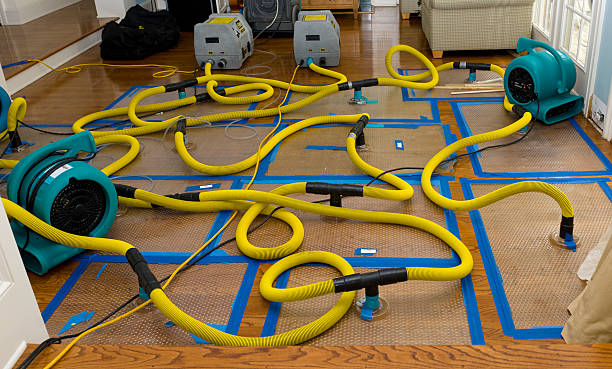 Professional Basement Flood Cleanup technician working in Platteville, WI